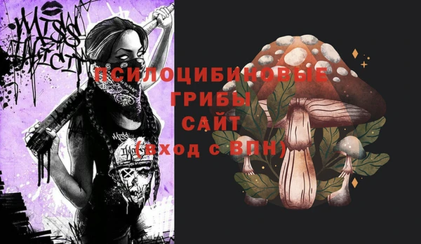 а пвп мука Армянск