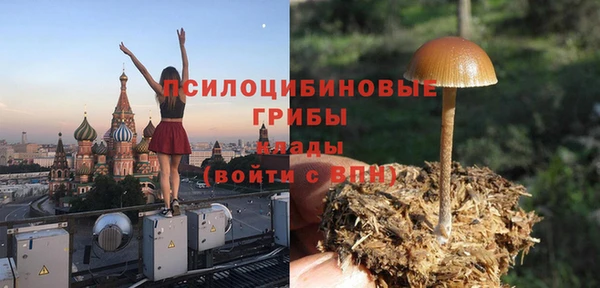 мет Аркадак