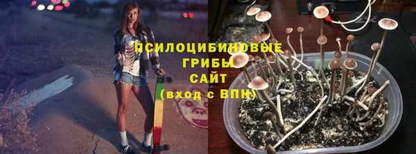 мяу мяу мука Арсеньев