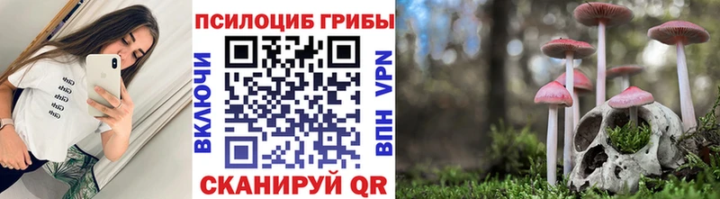 MEGA онион  нарко площадка состав  Псилоцибиновые грибы GOLDEN TEACHER  Балашов 